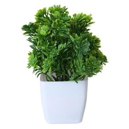 Artificial plant Product Photoshoot